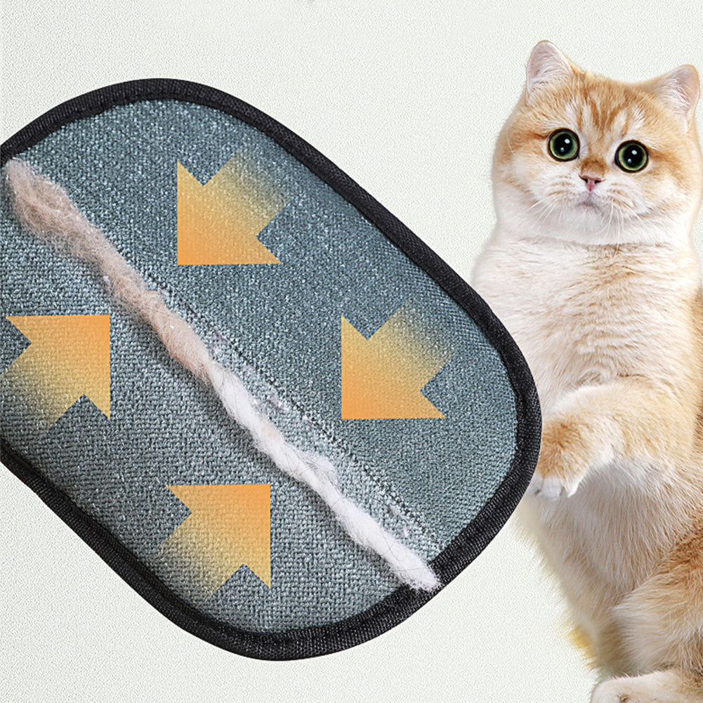 TheFurswipe- Pet Hair Remover